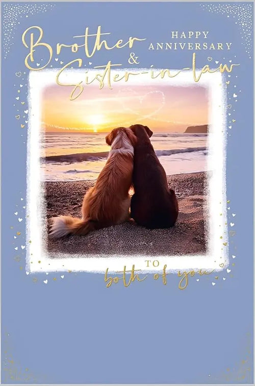 Brother and Sister in Law Anniversary Card