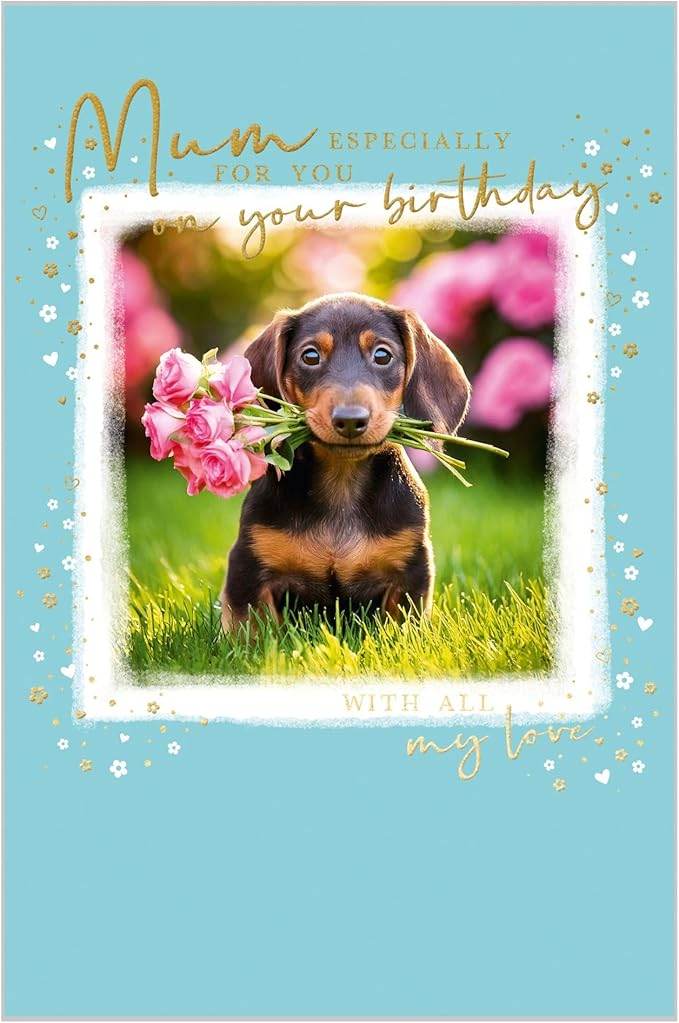Mum Dachshund Birthday Card - House of Cards