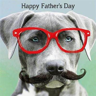 Glasses and Dog Fathers Day Card - House of Cards