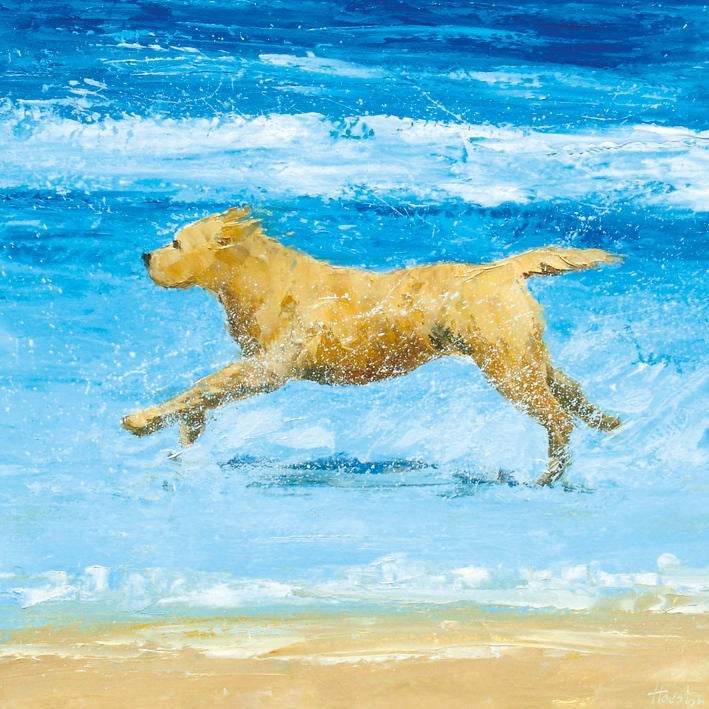 Sea Dog Greeting Card - House of Cards