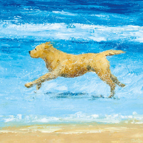 Sea Dog Greeting Card