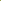 RSPB Northern Saw-whet Owl