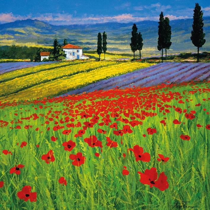 Field of Dreams Greeting Card - House of Cards