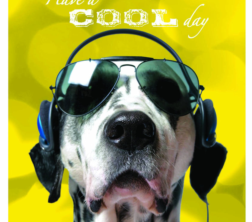 Nephew Sunglasses Dalmatian Birthday Card