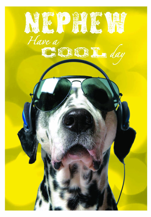 Nephew Sunglasses Dalmatian Birthday Card