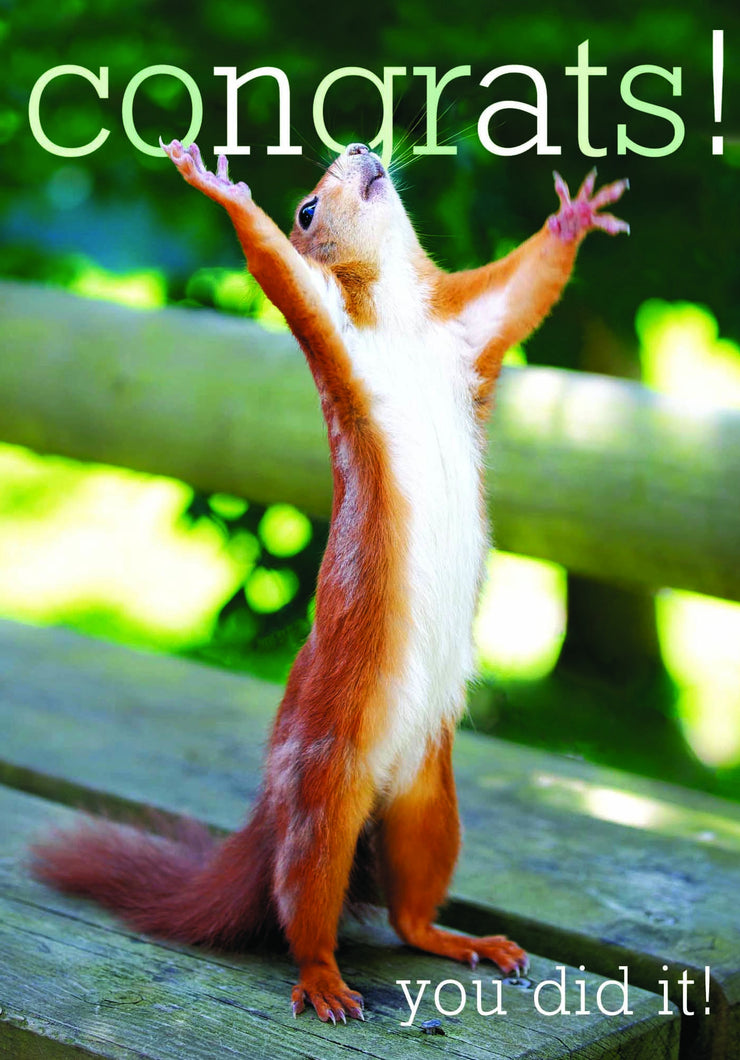Red Squirrel Congrats Greeting Card