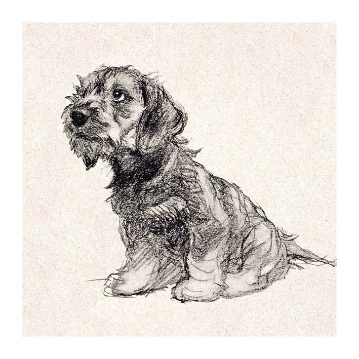 Puppy Love Greeting Card - House of Cards