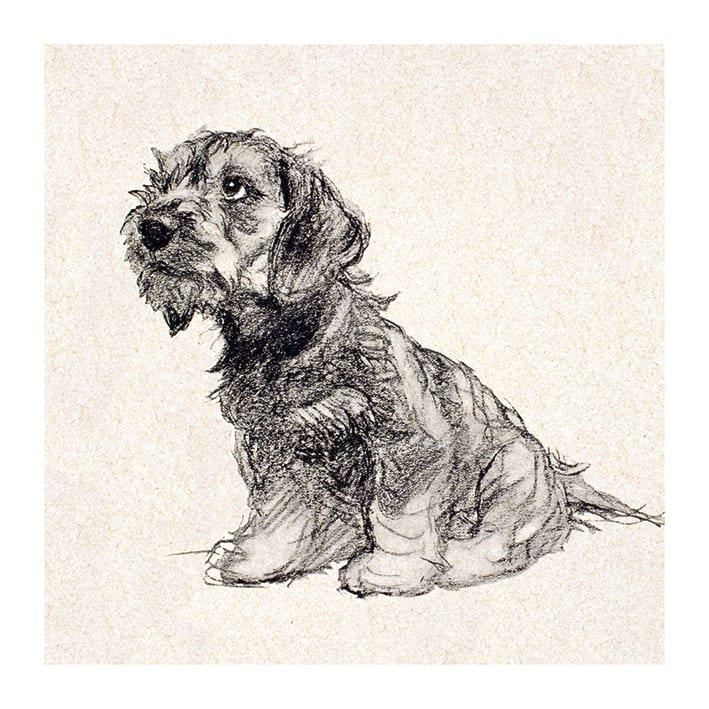 Puppy Love Greeting Card