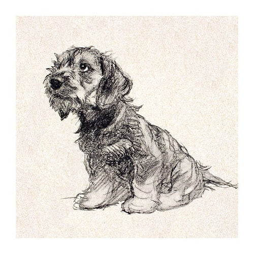 Puppy Love Greeting Card