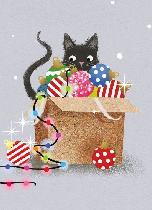 Cat in a Box Christmas Cards - House of Cards