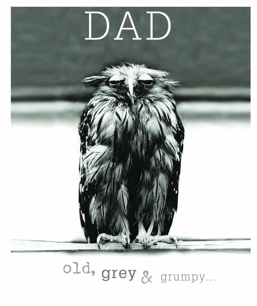 Dad Old, Grey and Grumpy Birthday Card