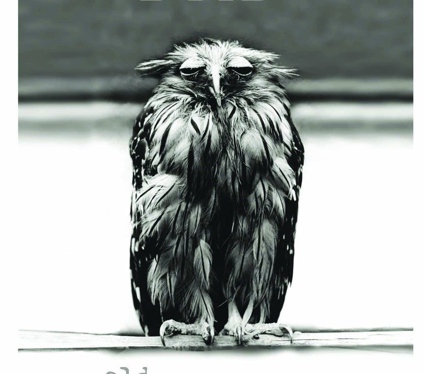 Dad Old, Grey and Grumpy Birthday Card