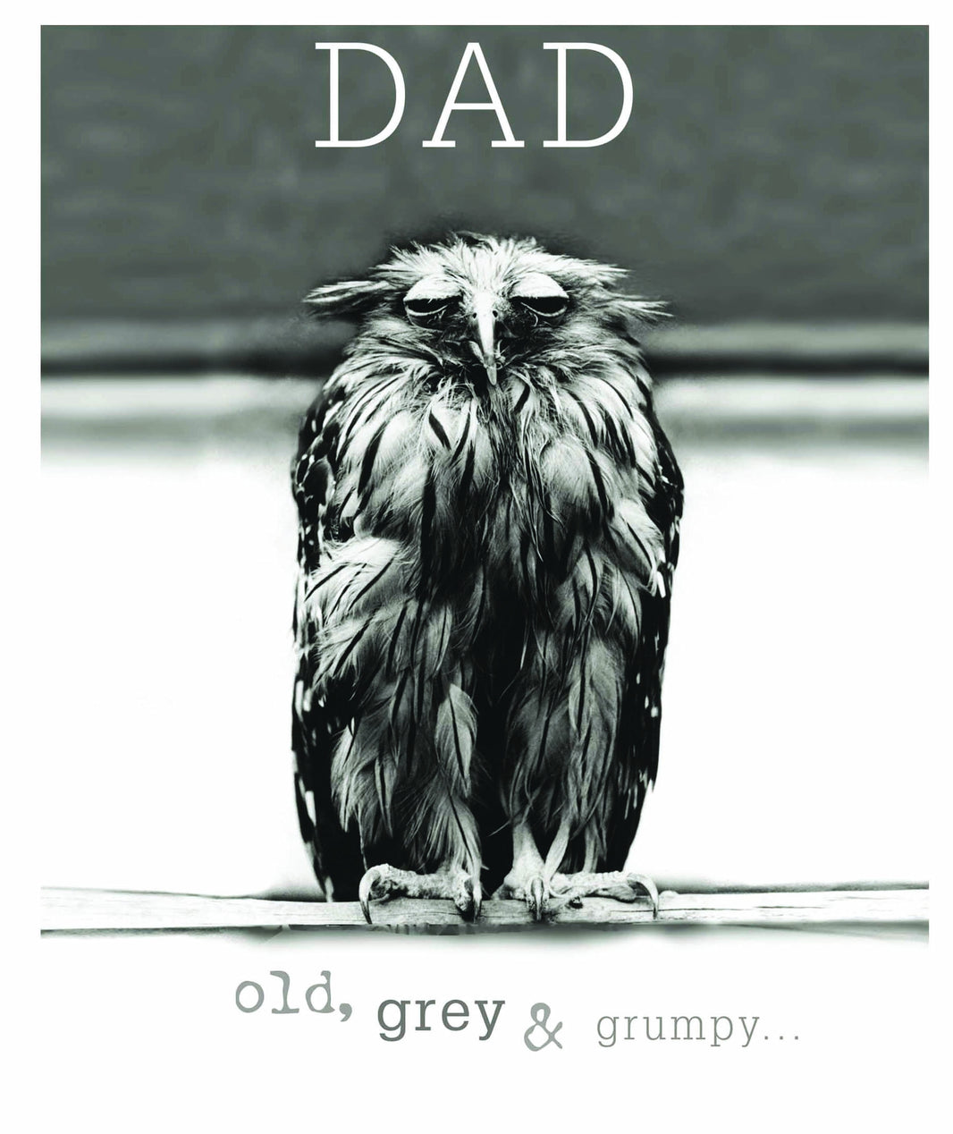 Dad Old, Grey and Grumpy Birthday Card