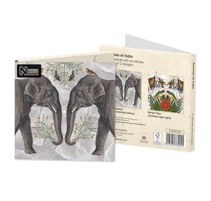 Animals of India Notecards - House of Cards