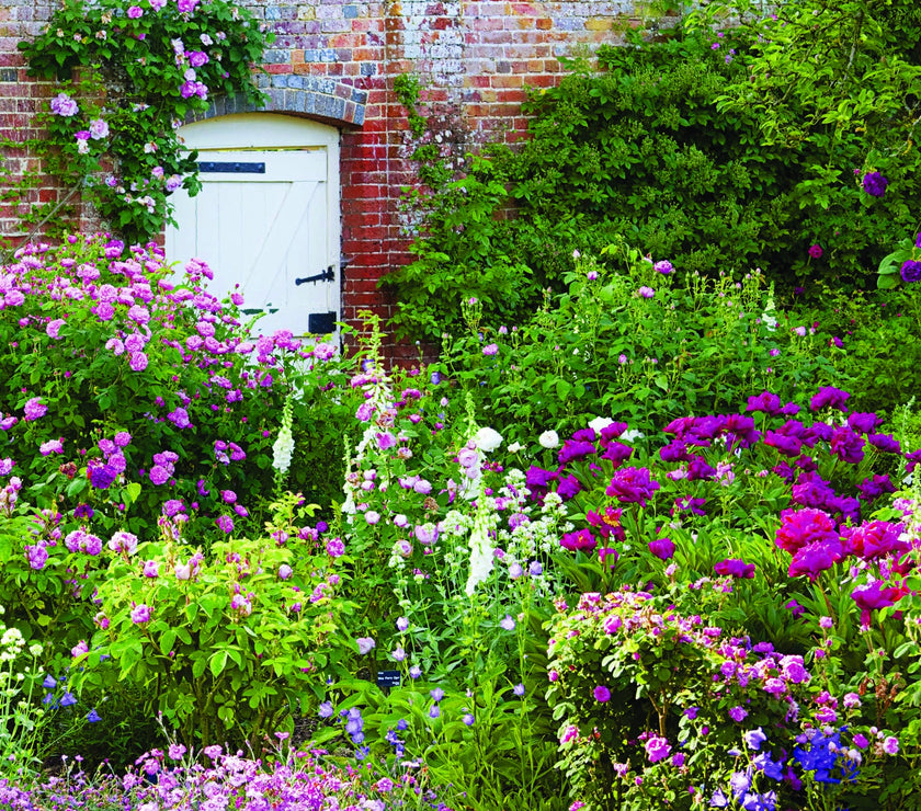 National Trust - Mottisfont Rose Garden