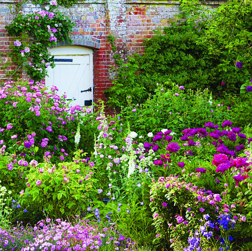 National Trust - Mottisfont Rose Garden