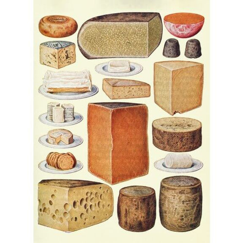 Cheese Birthday Card