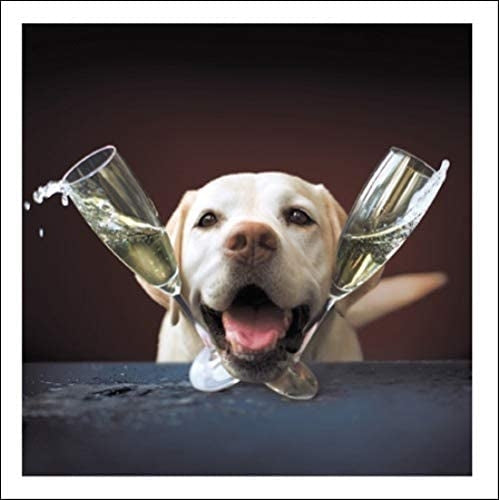 The Life of the Party Loose Leashes Greeting Card by Ron Schm