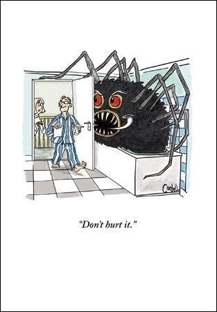 Don't Hurt The Spider Blank Greeting Card