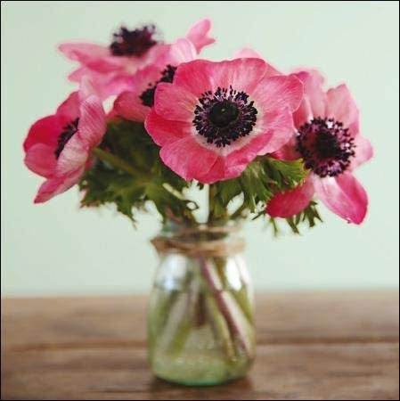 Charming Pink Flowers in Jar Birthday Card - House of Cards
