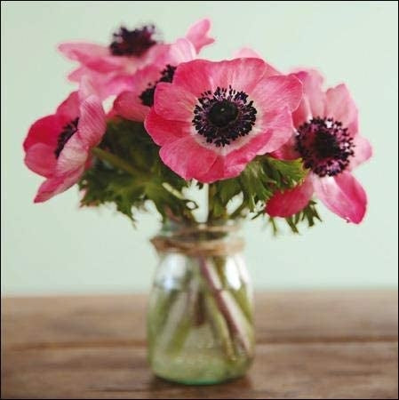 Charming Pink Flowers in Jar Birthday Card