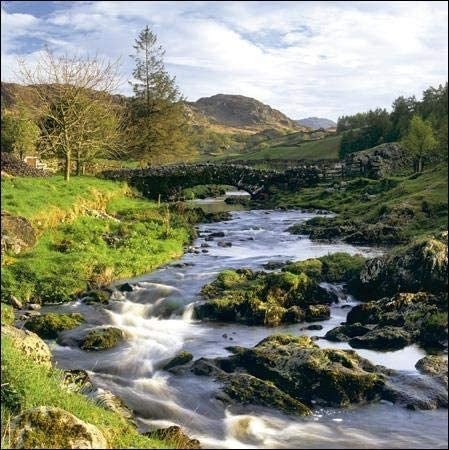 National Trust  Beck Cumbria Greeting Card