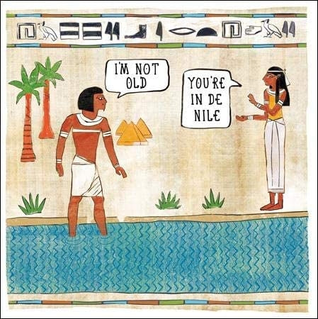 Funny Not Old in De Nile Blank Greeting Card