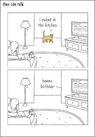 They Can Talk - Puked in the Kitchen