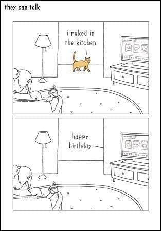 They Can Talk - Puked in the Kitchen - House of Cards