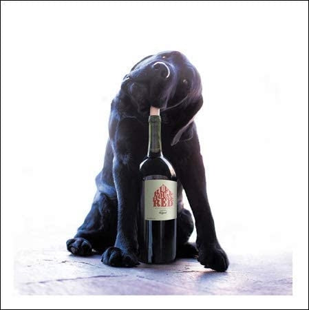 Hooch The Reveller Loose Leashes Greeting Card by Ron Schm