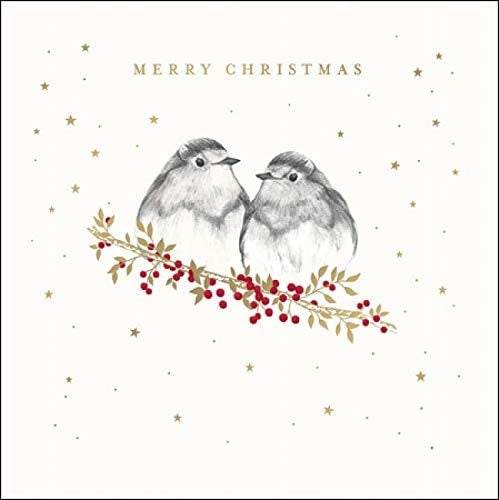 Robins on Branch Christmas Card - House of Cards