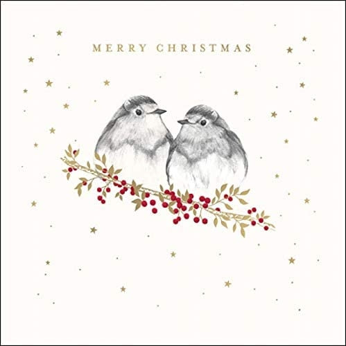 Robins on Branch Christmas Card