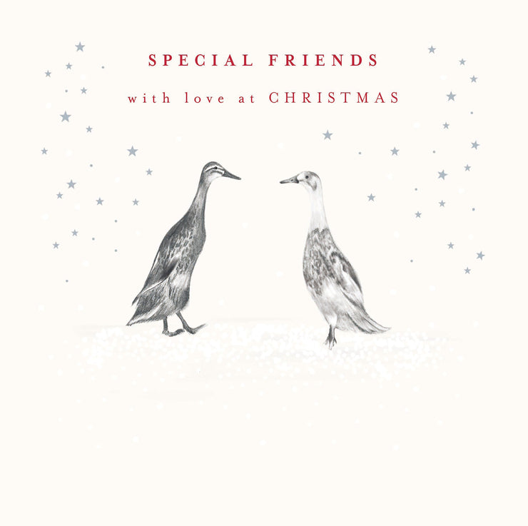 Special Friends Ducks Christmas Card