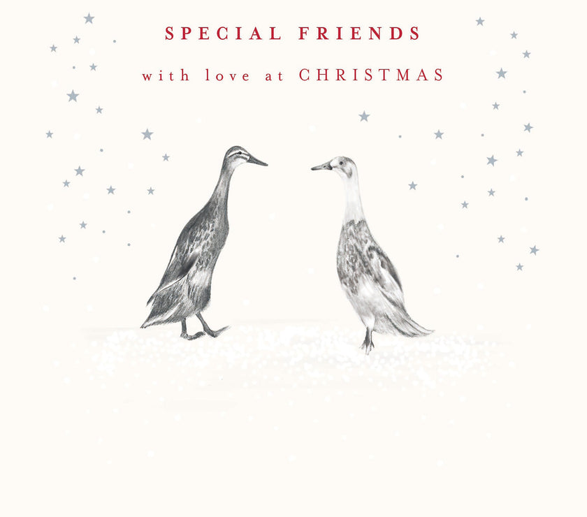 Special Friends Ducks Christmas Card