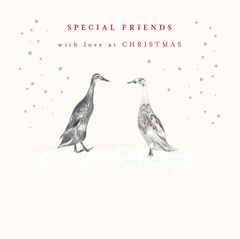 Special Friends Ducks Christmas Card