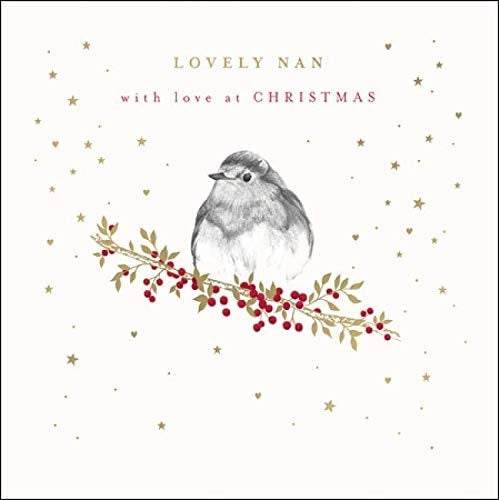 Robin Lovely Nan Christmas Card - House of Cards