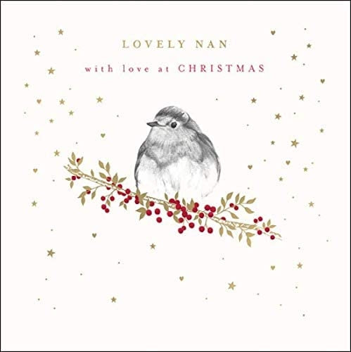 Robin Lovely Nan Christmas Card