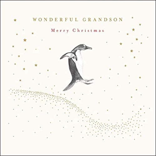 Wonderful Grandson Penguin Christmas Card