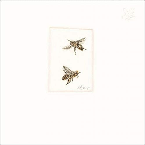 Little Travellers Greeting Card - National Trust Habitat Blank Cards