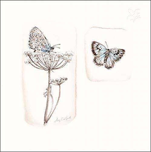 National Trust Habitat Into the Meadow Greeting Card - House of Cards