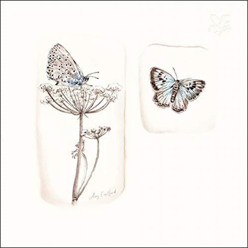 National Trust Habitat Into the Meadow Greeting Card