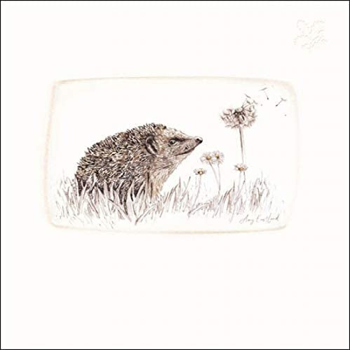 National Trust Garden Quest Greeting Card