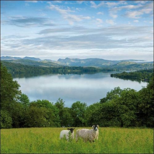 View of Wray Castle Greeting Card