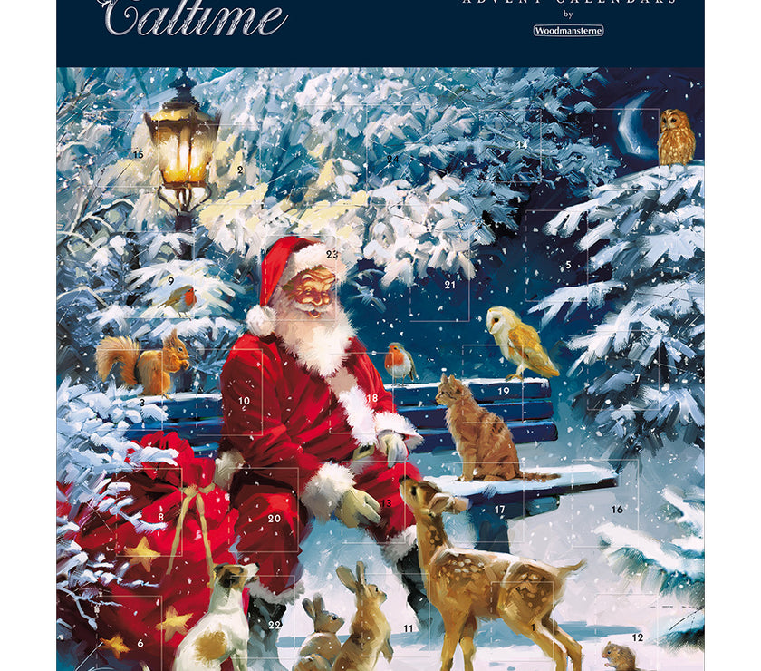 Santa on a Bench Advent Calendar