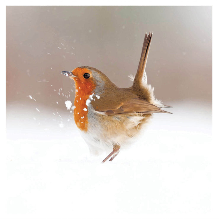 Robin in the Snow Christmas Card