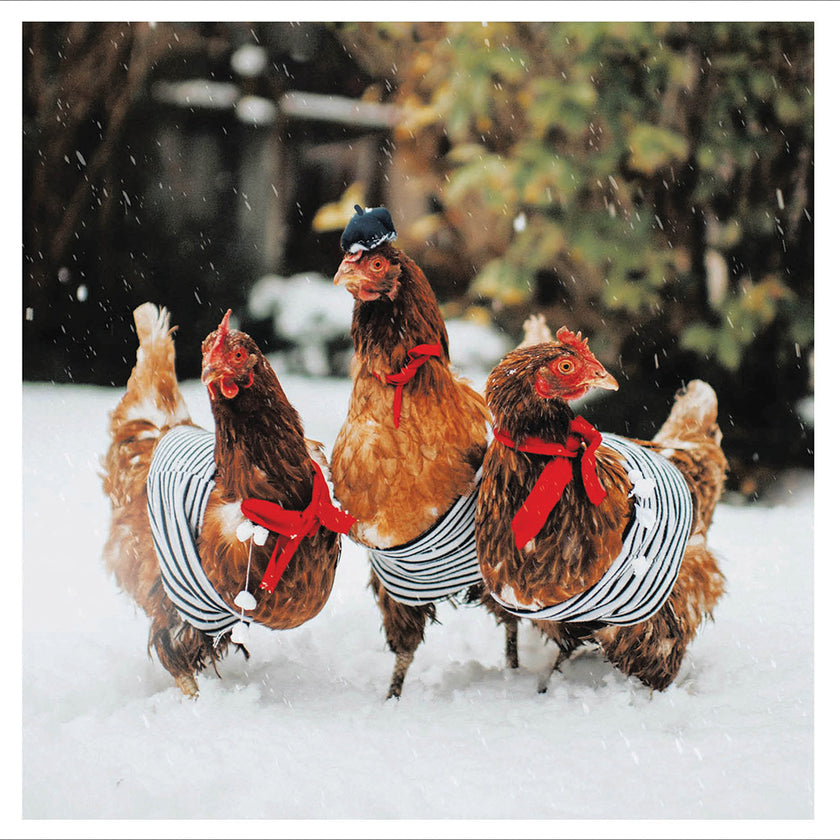 Three French Hens Christmas Card