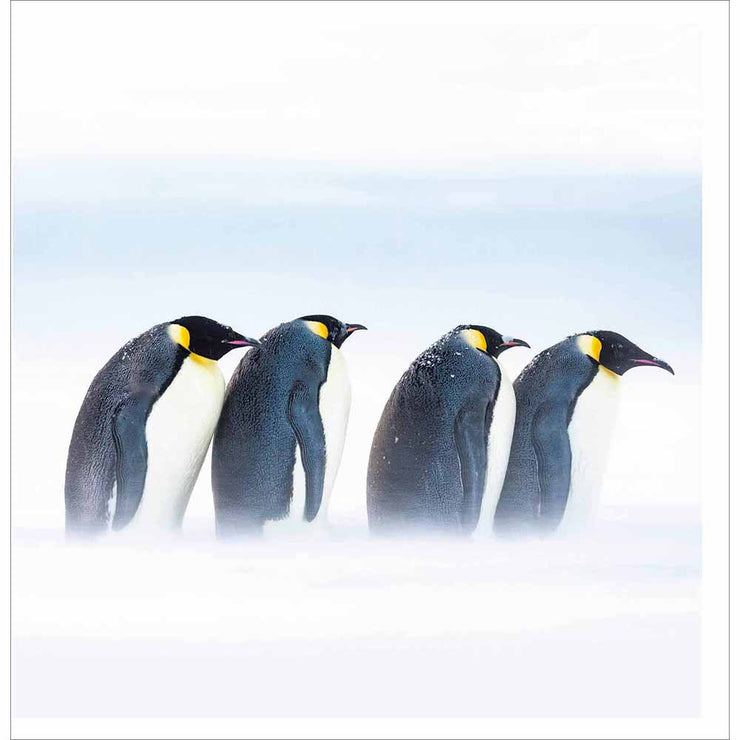 Penguin Parade Christmas Card