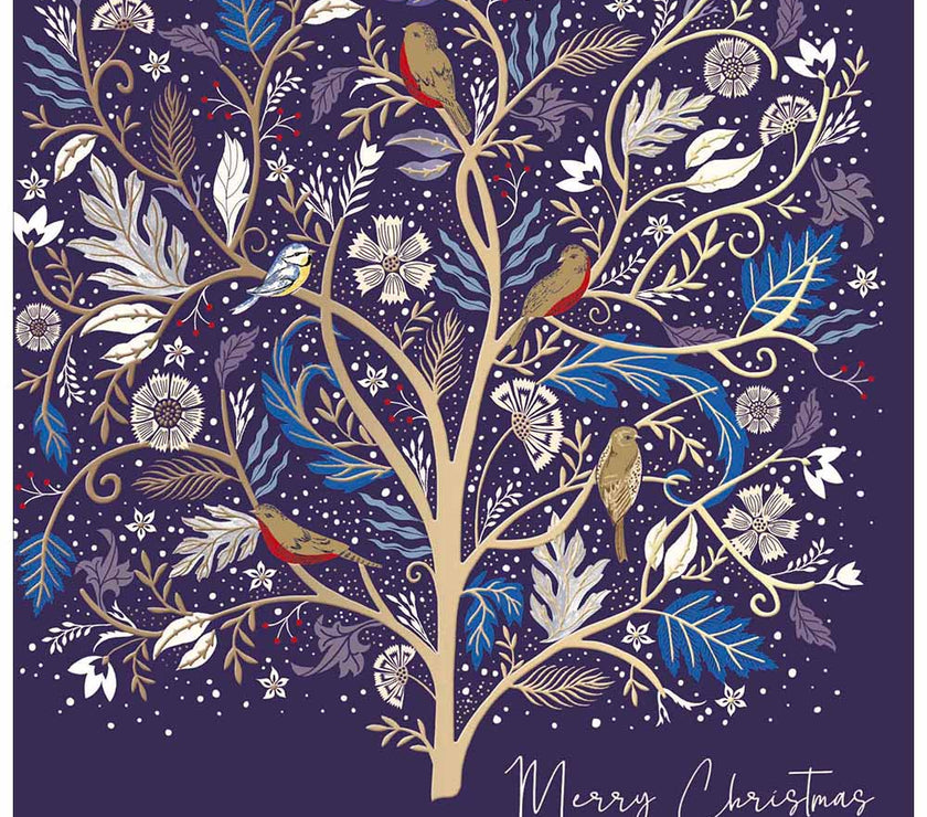 National Trust Festive Birds Christmas Card