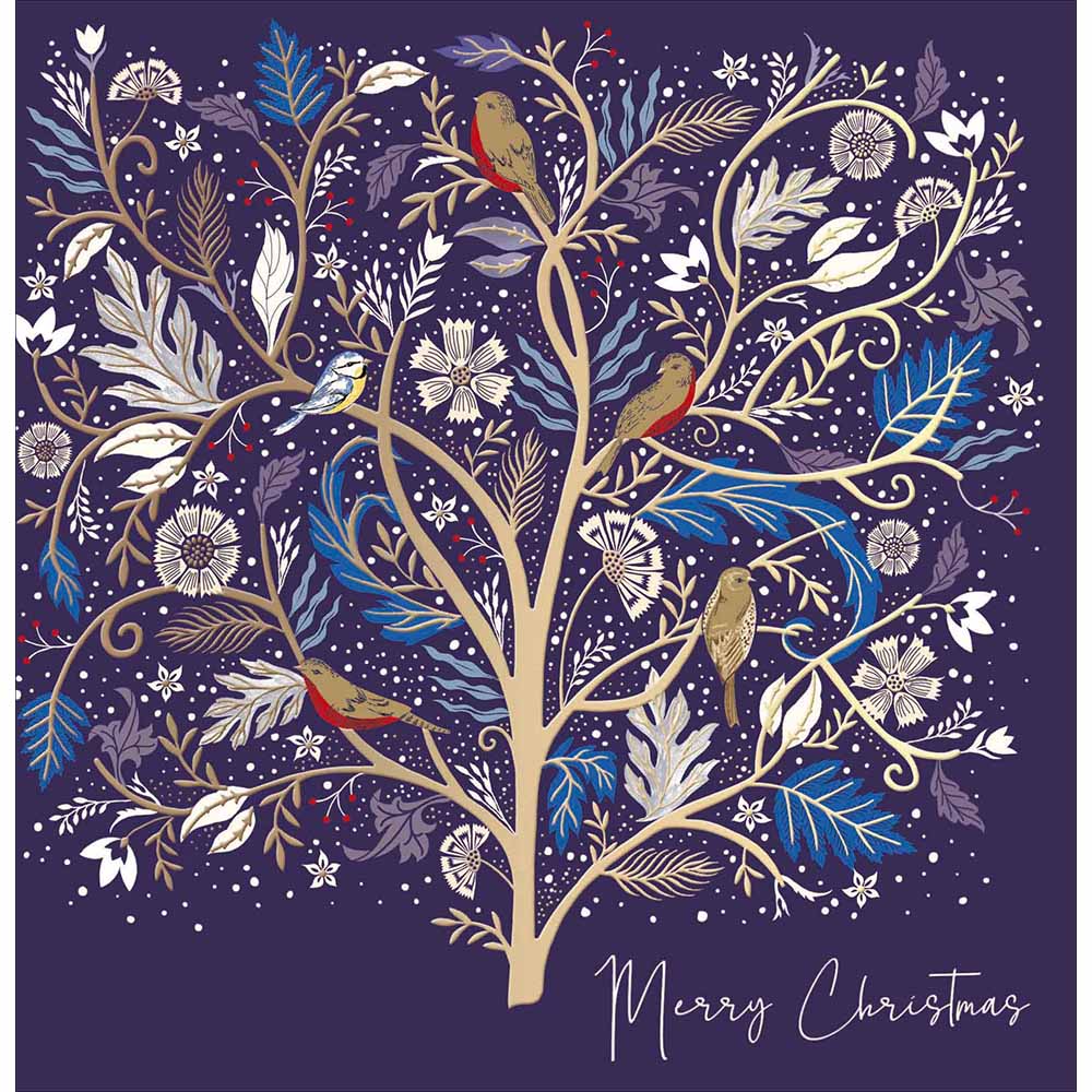 National Trust Festive Birds Christmas Card