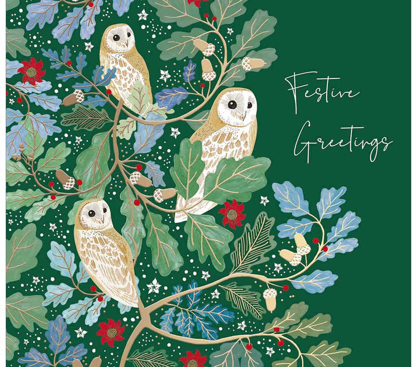 National Trust Festive Owls Christmas Card